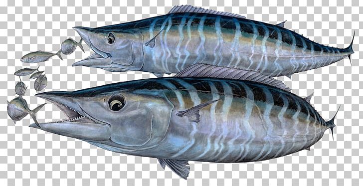 Mackerel Tuna Oily Fish 09777 Sardine PNG, Clipart, 09777, Animal Source Foods, Art, Art Museum, Art Of Free PNG Download