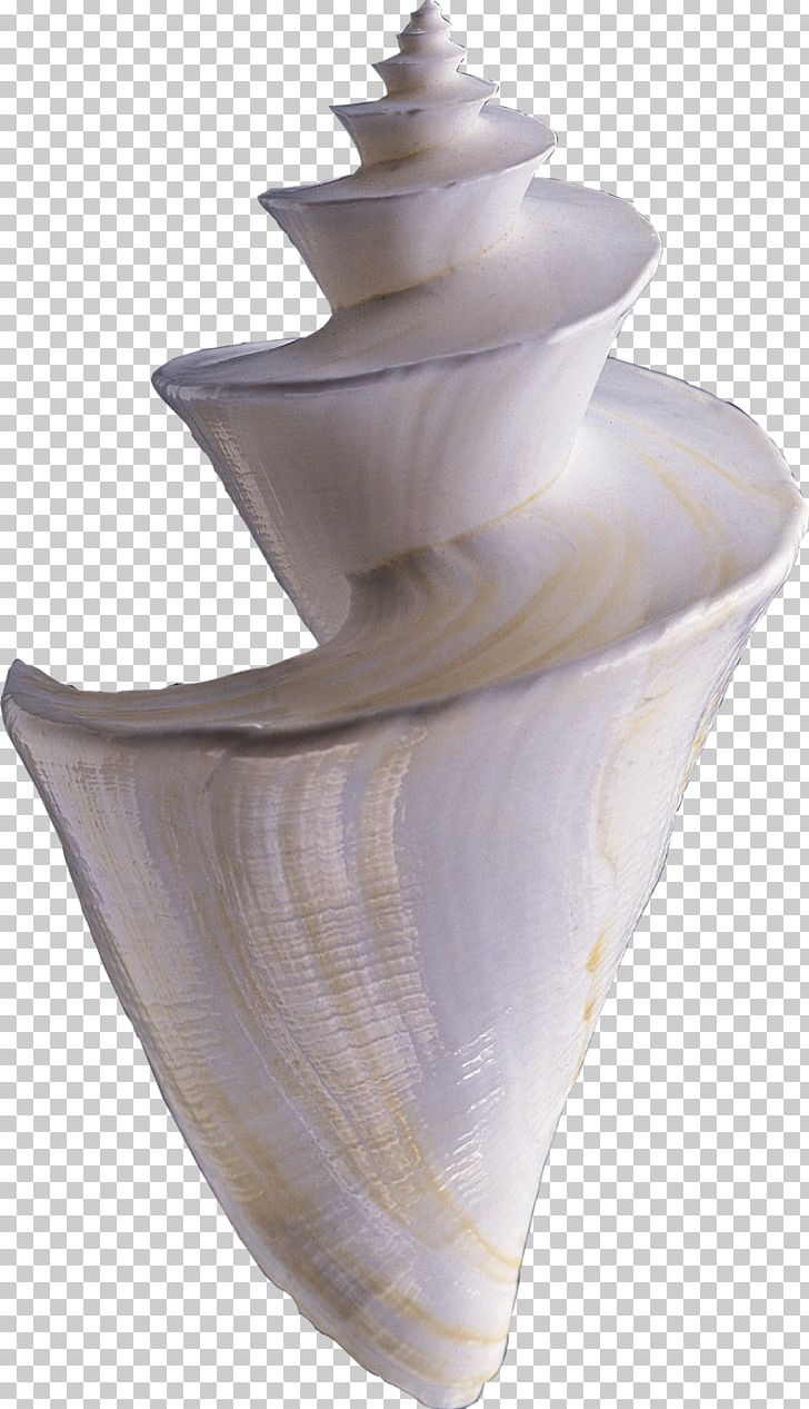 Seashell Spiral Helix PNG, Clipart, Animal, Artifact, Computer Icons, Conch, Download Free PNG Download