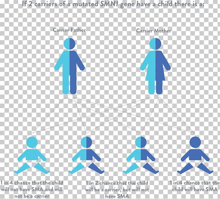 Spinal Muscular Atrophy Genetic Disorder Muscle Atrophy SMN1 PNG, Clipart, Atrophy, Communication, Diagram, Disease, Gene Free PNG Download