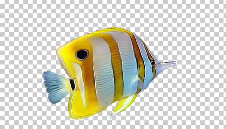 blue and yellow tropical fish artclip