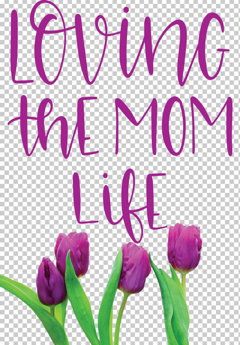 Mothers Day Mothers Day Quote Loving The Mom Life PNG, Clipart, Cut Flowers, Floral Design, Flower, Herbaceous Plant, Lavender Free PNG Download