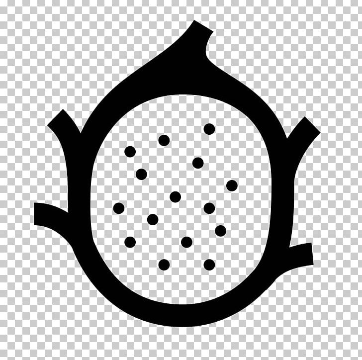 Computer Icons Pitaya PNG, Clipart, Artwork, Auglis, Black, Black And White, Circle Free PNG Download