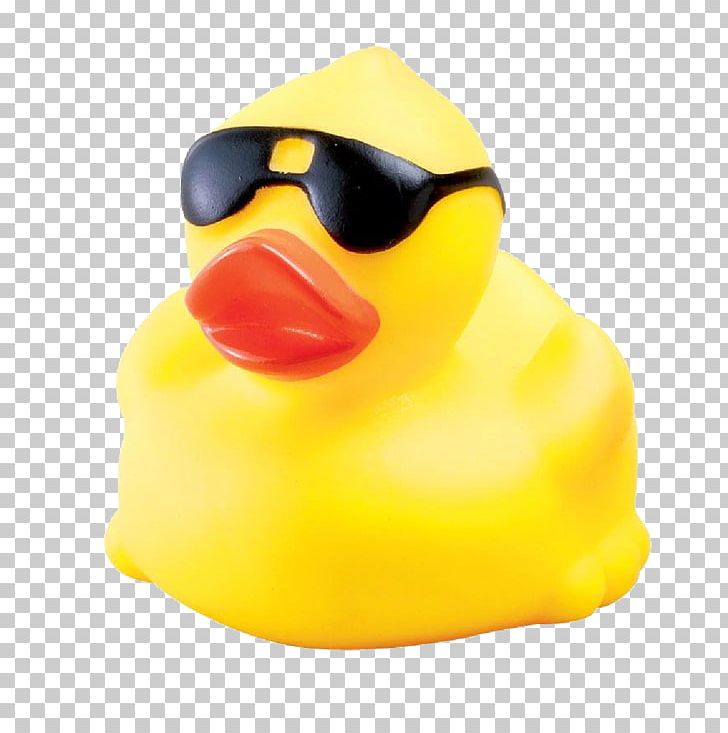 Rubber Duck PNG, Clipart, Rubber Duck Free PNG Download