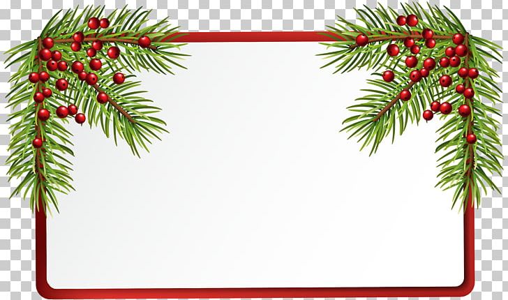 Christmas Blank PNG, Clipart, 25 December, Branch, Christmas Clipart, Christmas Decoration, Christmas Ornament Free PNG Download