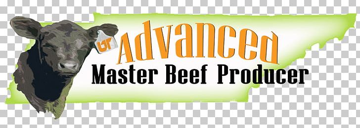 Dairy Cattle Beef Cattle Angus Cattle Calf PNG, Clipart, Advertising, Agriculture, Angus Cattle, Beef, Beef Cattle Free PNG Download