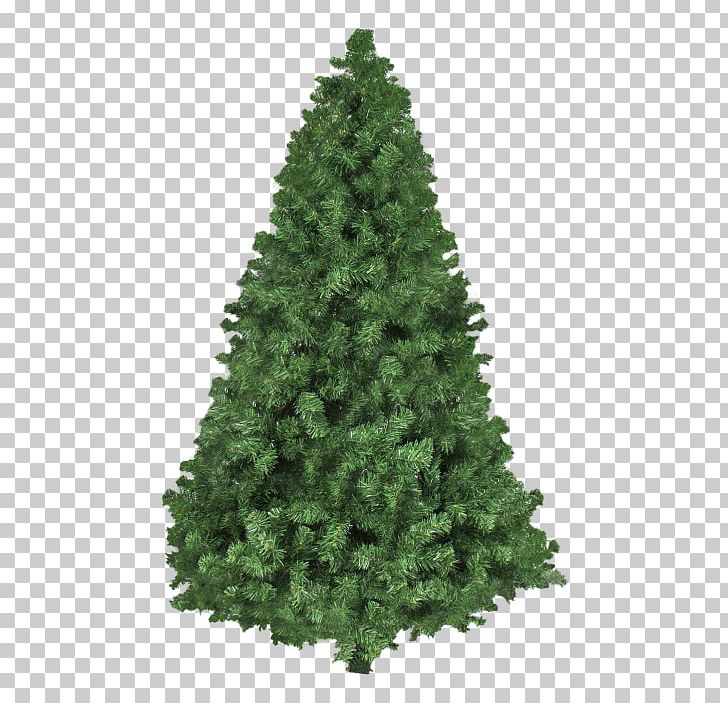 Desktop Christmas Tree Display Resolution PNG, Clipart, Artificial Christmas Tree, Biome, Chris, Christmas Decoration, Christmas Tree Free PNG Download