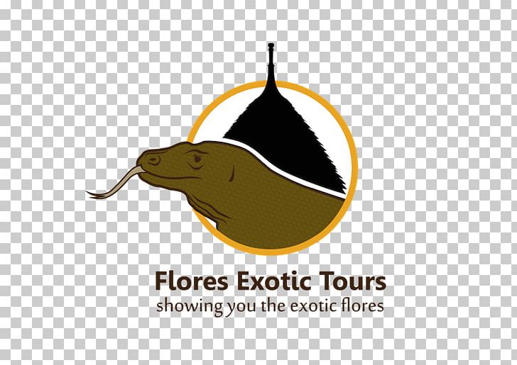 Komodo Dragon Flores Exotic Tours PNG, Clipart, Brand, Dragon, Flores, Indonesia, Indonesia Bali Free PNG Download