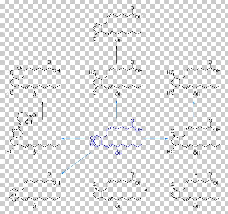 Prostanoid Prostaglandin H2 Eicosanoid Prostacyclin PNG, Clipart, Angle, Area, Auto Part, Biosynthesis, Chemical Compound Free PNG Download
