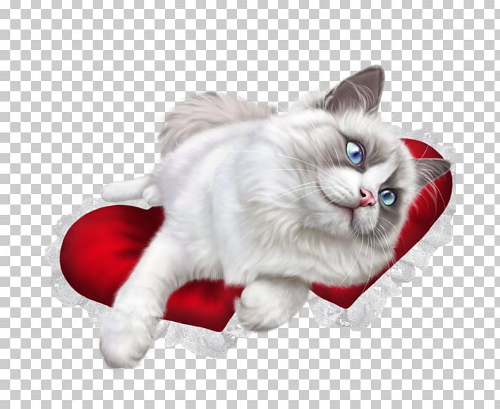 Ragdoll British Shorthair Kitten PNG, Clipart, Animals, Background White, Black White, Carnivoran, Cat Like Mammal Free PNG Download