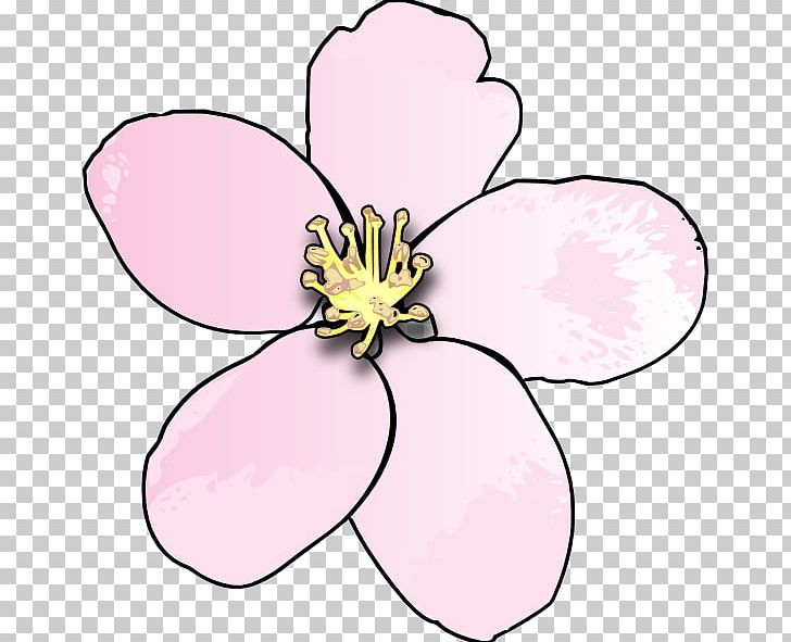 Cherry Blossom Drawing PNG, Clipart, Apple, Art, Artwork, Blossom, Cherry Blossom Free PNG Download
