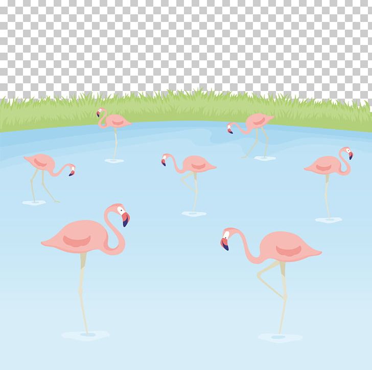 Greater Flamingo Bird PNG, Clipart, Adobe Illustrator, Animals, Beak, Birds, Cartoon Flamingo Free PNG Download