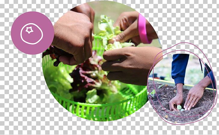 Herb Plastic Finger PNG, Clipart, Finger, Herb, Leaf Vegetable, Others, Plant Free PNG Download