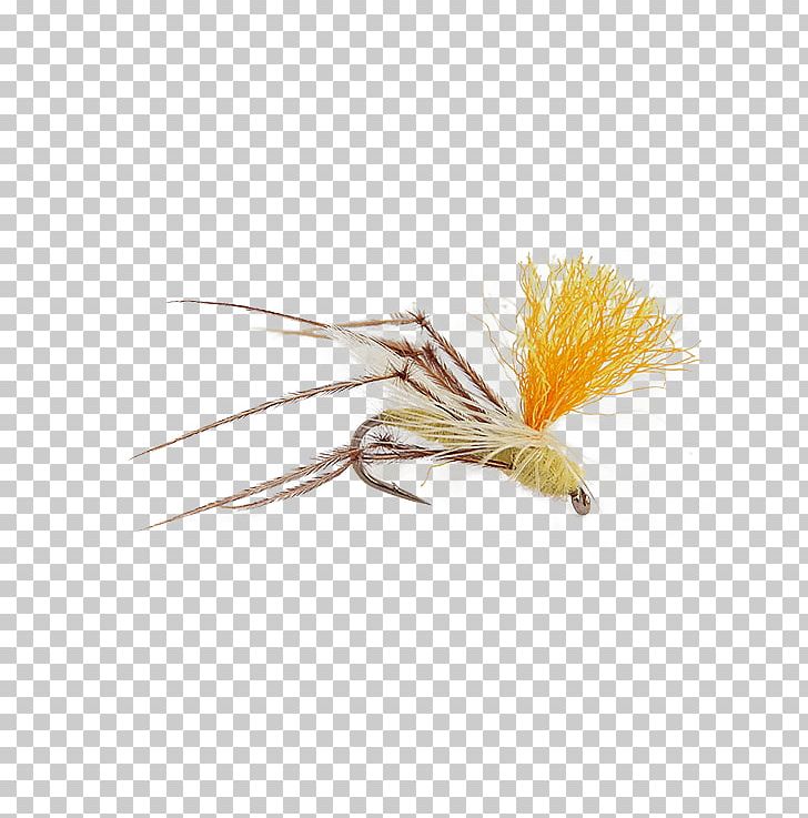 Insect Crane Fly Artificial Fly Callibaetis PNG, Clipart, Artificial Fly, Callibaetis, Crane Fly, Fly, Fly Fishing Free PNG Download
