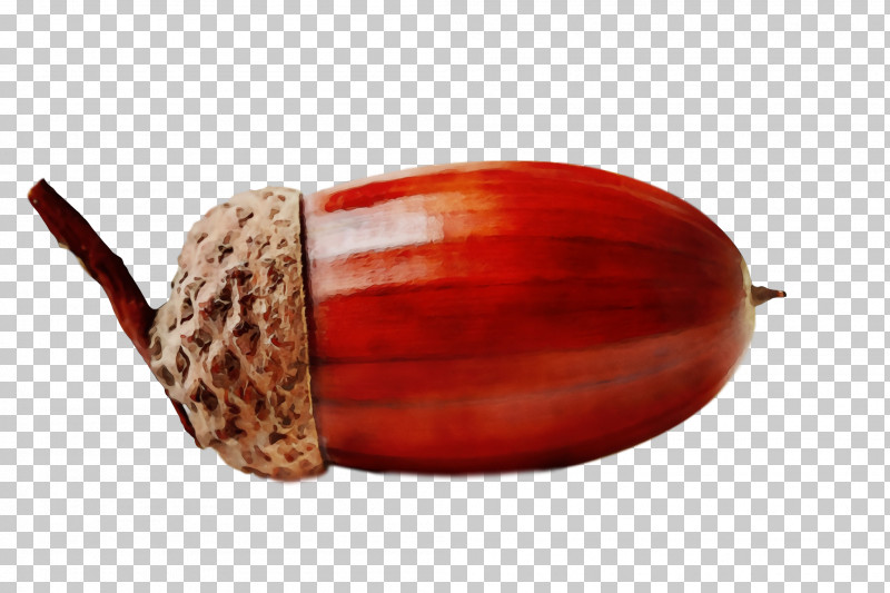 Nut Acorn Chestnut Top Nuts & Seeds PNG, Clipart, Acorn, Acorns, Chestnut, Nut, Nuts Seeds Free PNG Download