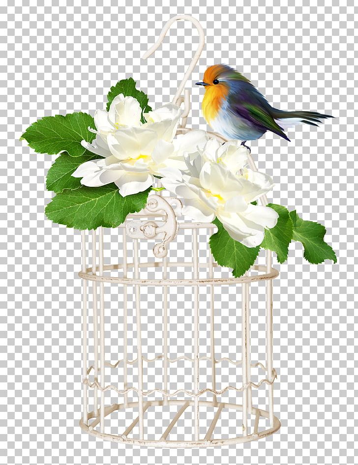 Birdcage Birdcage PNG, Clipart, Animals, Beak, Bird, Birdcage, Bird Supply Free PNG Download