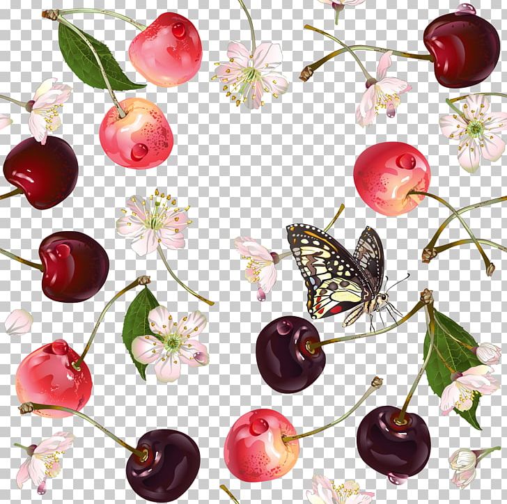 Cherry Auglis Fundal PNG, Clipart, Adobe Illustrator, Background Decoration, Cartoon, Cherry, Encapsulated Postscript Free PNG Download