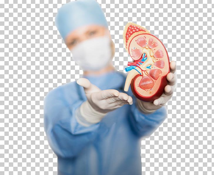 Chronic Kidney Disease (ckd) Renal Function Acute Kidney Failure PNG, Clipart, Acute Kidney Failure, Chronic Condition, Chronic Kidney Disease Ckd, Creatinine, Cytoplasmic Male Sterility Free PNG Download