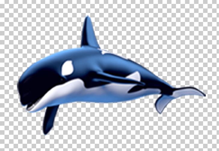 Common Bottlenose Dolphin Short-beaked Common Dolphin Whale Marine Mammal PNG, Clipart, Animal, Animals, Automotive Design, Bottlenose Dolphin, Cetacea Free PNG Download