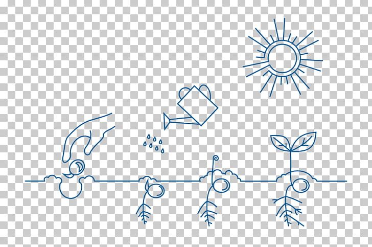 Linearity Plant Tree PNG, Clipart, Angle, Area, Art, Blue, Brand Free PNG Download