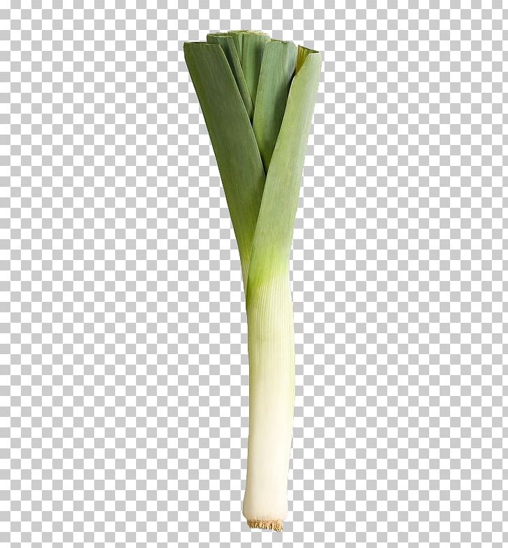 Shallot Garlic Vegetable Ingredient PNG, Clipart, Broccoli, Cartoon Garlic, Chili Garlic, Encapsulated Postscript, Flowerpot Free PNG Download