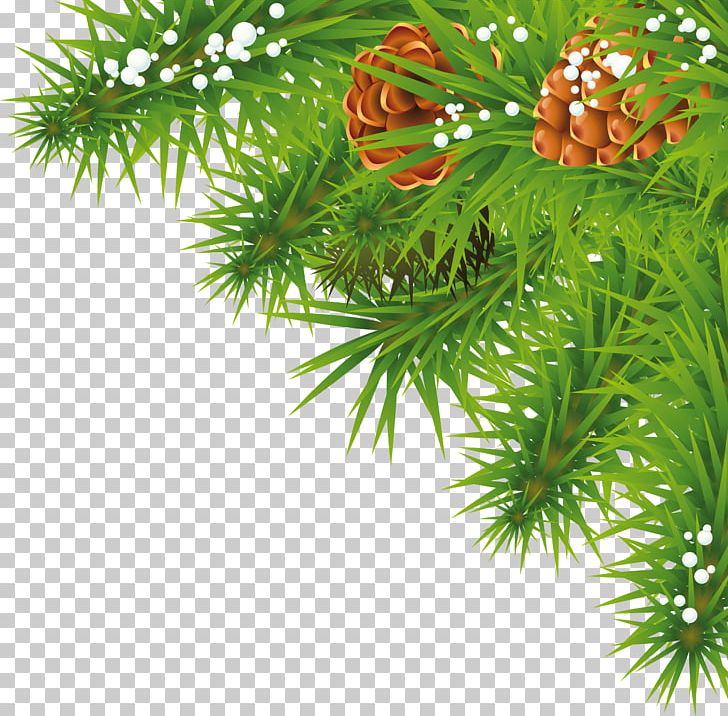 Christmas Ornament Christmas Decoration PNG, Clipart, Branch, Christmas, Christmas Decoration, Christmas Ornament, Christmas Tree Free PNG Download