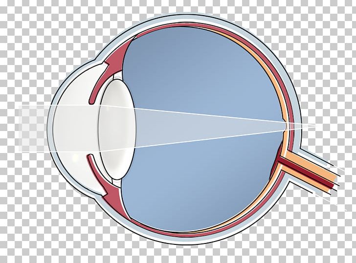 Mennen & De Cock Contactlenzen Human Eye PNG, Clipart, Circle, Constant Plus, Eye, Eye Care Professional, Hoger Beroepsonderwijs Free PNG Download