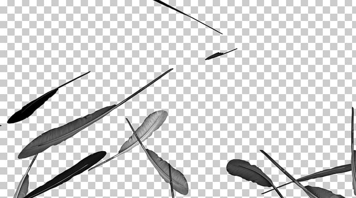 Video Graphics Design PNG, Clipart, Angle, Art, Bird, Black, Black And White Free PNG Download