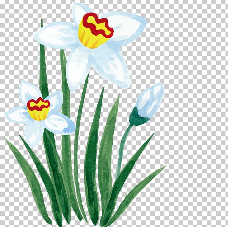 Watercolor Painting Oil Painting PNG, Clipart, Daisy, Designer, Download, Effect, Euclidean Vector Free PNG Download