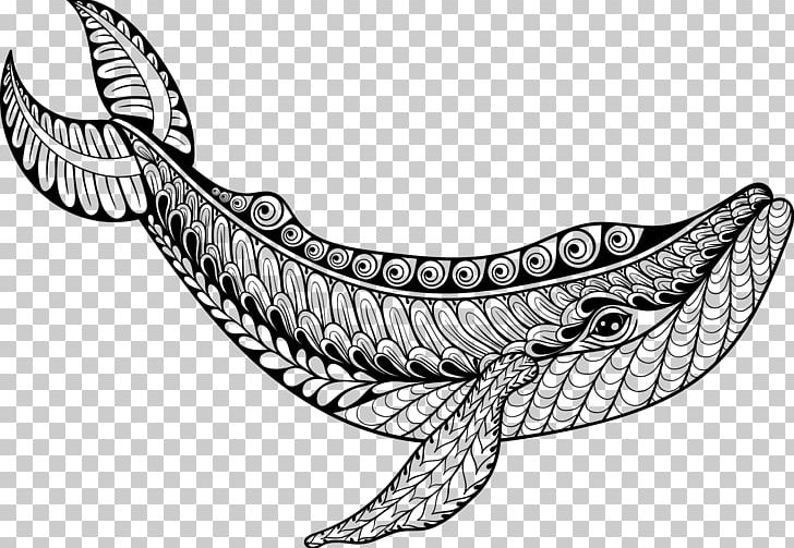 Whale Drawing Coloring Book Illustration PNG, Clipart, Adult, Animals, Aquatic Animal, Art, Beluga Whale Free PNG Download