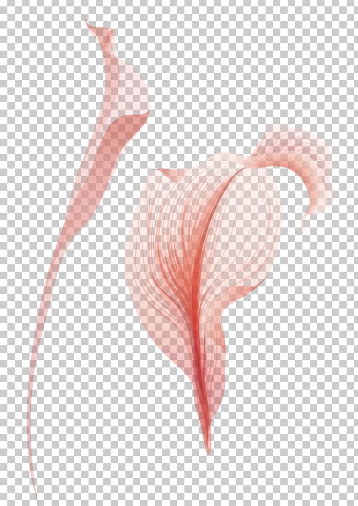 Shoulder Heart Petal Muscle Pattern PNG, Clipart, Bouquet, Bouquet Vector, Closeup, Corner Flower, Edge Flowers Free PNG Download