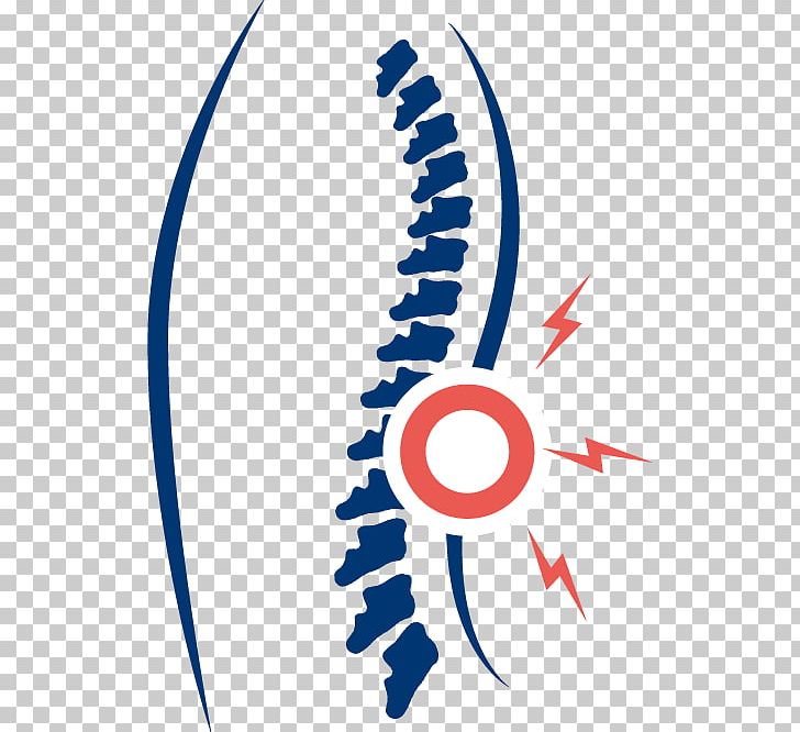 Absolute Health Chiropractic Back Pain Human Back PNG, Clipart, Area, Back Pain, Brand, Chiropractic, Circle Free PNG Download