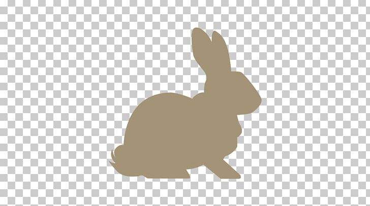Domestic Rabbit Hare Mini Rex PNG, Clipart, Animals, Carnivoran, Dog Like Mammal, Domestic Rabbit, Easter Bunny Free PNG Download
