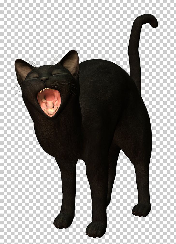 Black Cat Kitten PNG, Clipart, Animals, Animation, Asian, Background Black, Black Free PNG Download