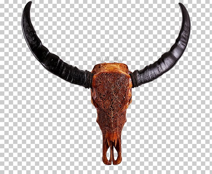 Cattle Water Buffalo Horn Ox Dragon PNG, Clipart, American Bison, Antique, Cattle, Dragon, Flower Free PNG Download