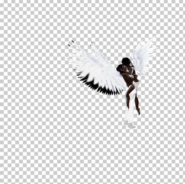 Desktop White Computer Feather PNG, Clipart, Angel, Bird, Black And White, Computer, Computer Wallpaper Free PNG Download