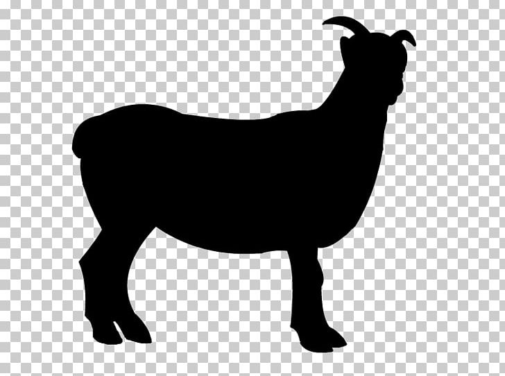 Sheep Boer Goat PNG, Clipart, Black, Black And White, Blog, Boer Goat, Cattle Like Mammal Free PNG Download