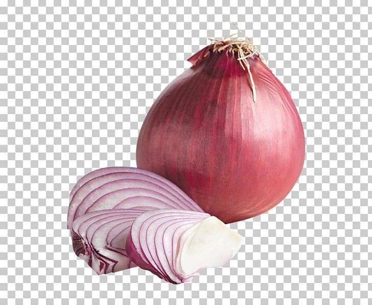 Yellow Onion Shallot Food Red Onion Grocery Store PNG, Clipart, Beet, Beetroot, Farm, Food, Food Bank Free PNG Download