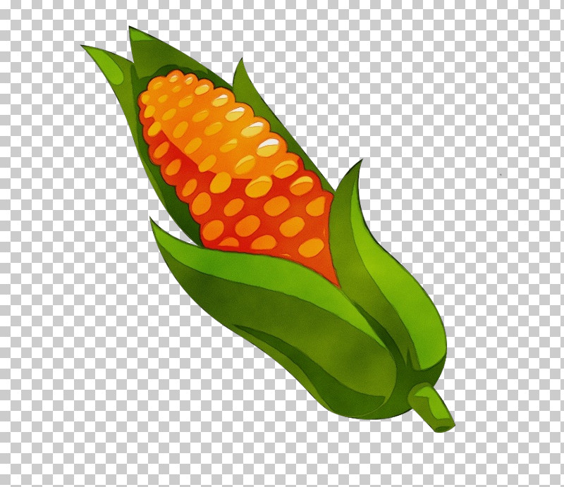 Leaf Vegetable Commodity Fruit Flower PNG, Clipart, Biology, Commodity, Flower, Fruit, Leaf Free PNG Download