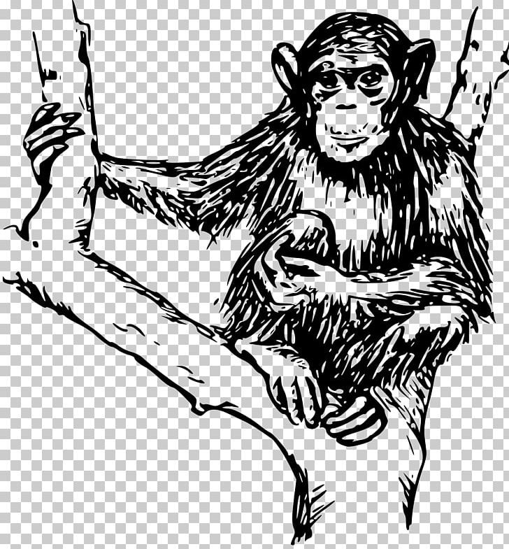 Chimpanzee Ape Primate Monkey PNG, Clipart, Animal, Animals, Ape, Art, Artwork Free PNG Download