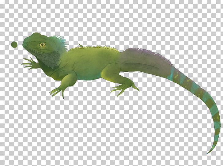 Common Iguanas Amphibian Fauna Tail PNG, Clipart, Amphibian, Animal, Animal Figure, Common Iguanas, Fauna Free PNG Download