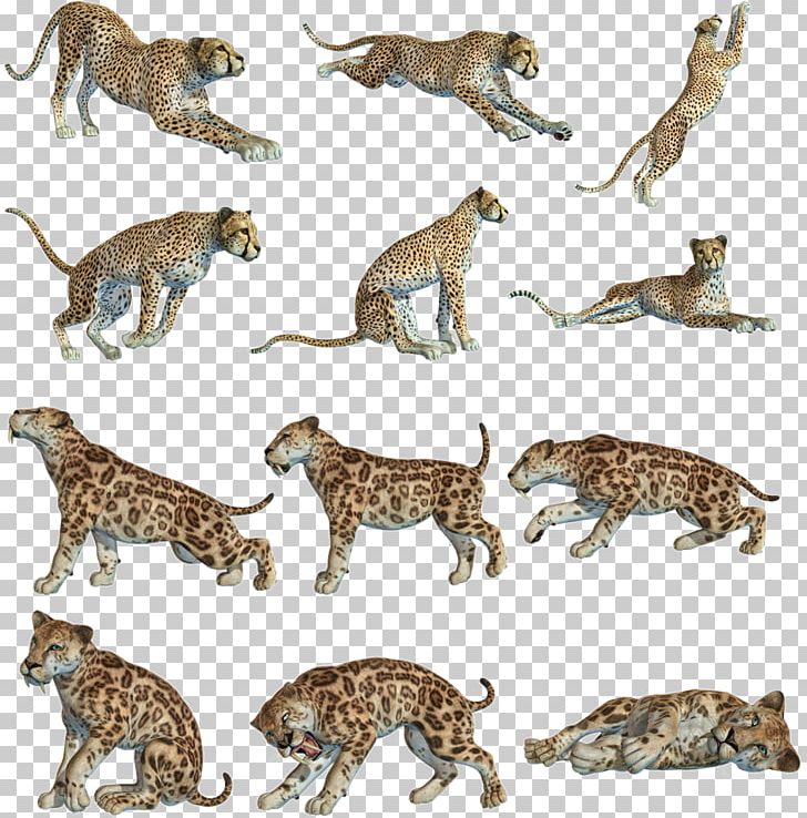 Leopard Cheetah Cat Tiger Felidae PNG, Clipart, Animal, Animal Figure, Animals, Big Cat, Big Cats Free PNG Download