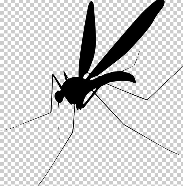 Mosquito PNG, Clipart, Angle, Arthropod, Black And White, Encapsulated Postscript, Fly Free PNG Download