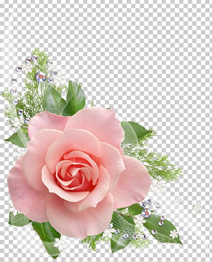 Pink Flower PNG, Clipart, Centifolia Roses, Cut Flowers, Floral Design, Floribunda, Floristry Free PNG Download