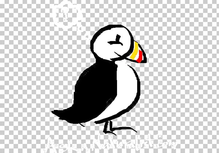 Puffin Bird Beak Drawing PNG, Clipart, Animal, Animals, Answer, Artwork, Beak Free PNG Download