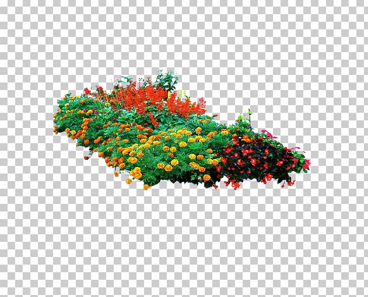 Mexican Marigold Tree Computer File PNG, Clipart, Designer, Download, Encapsulated Postscript, Flora, Floral Design Free PNG Download