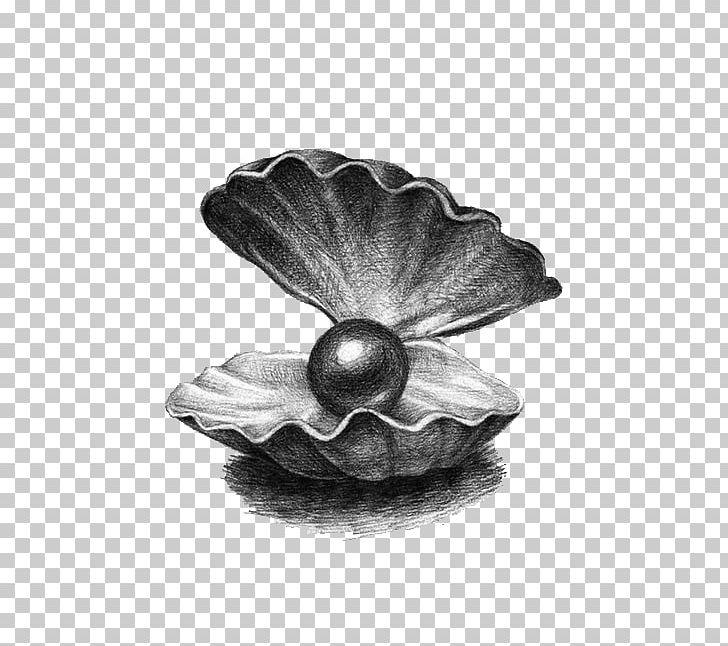 Pearl Drawing Illustration PNG, Clipart, Black, Black And White, Black Pearl, Download, Encapsulated Postscript Free PNG Download