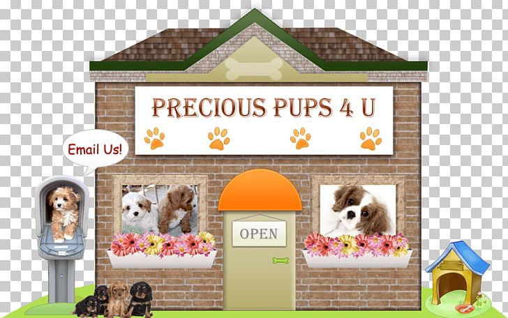 Puppy Cavapoo Maltipoo Pet Precious Pups 4 U PNG, Clipart, Animals, Canadian Kennel Club, Cavapoo, Dog Training, Food Free PNG Download