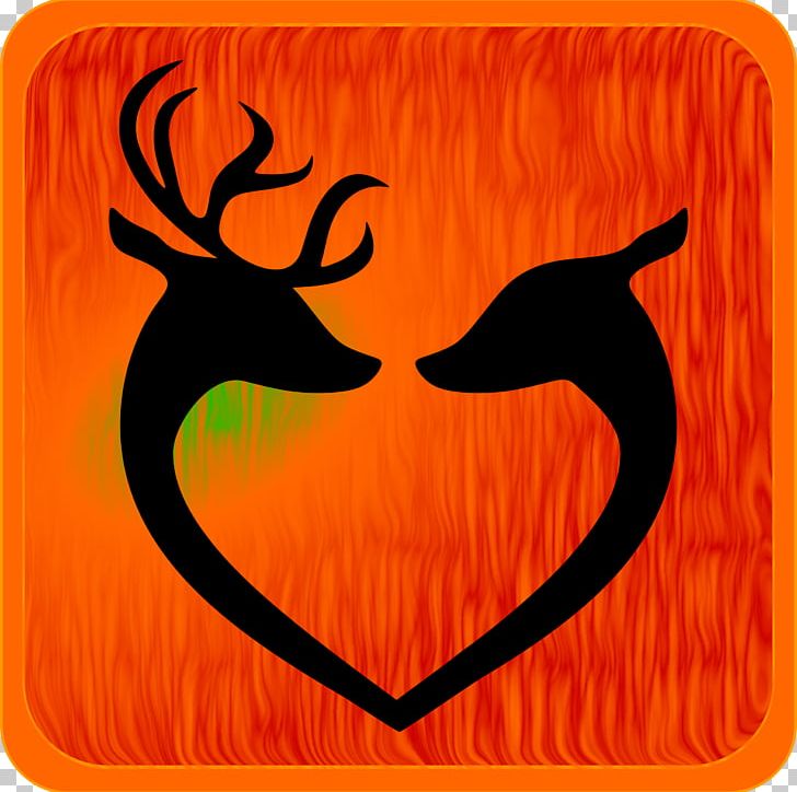 White-tailed Deer Red Deer Reindeer PNG, Clipart, Animals, Antler, Deer, Deer Hunting, Fallow Deer Free PNG Download