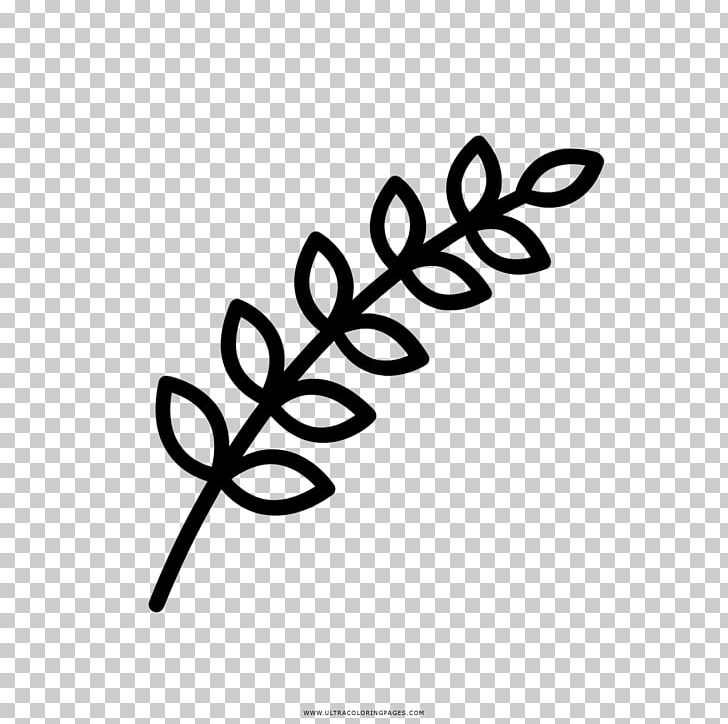 Branch Coloring Book Leaf Drawing Plant PNG, Clipart, Ausmalbild, Black, Black And White, Branch, Brand Free PNG Download