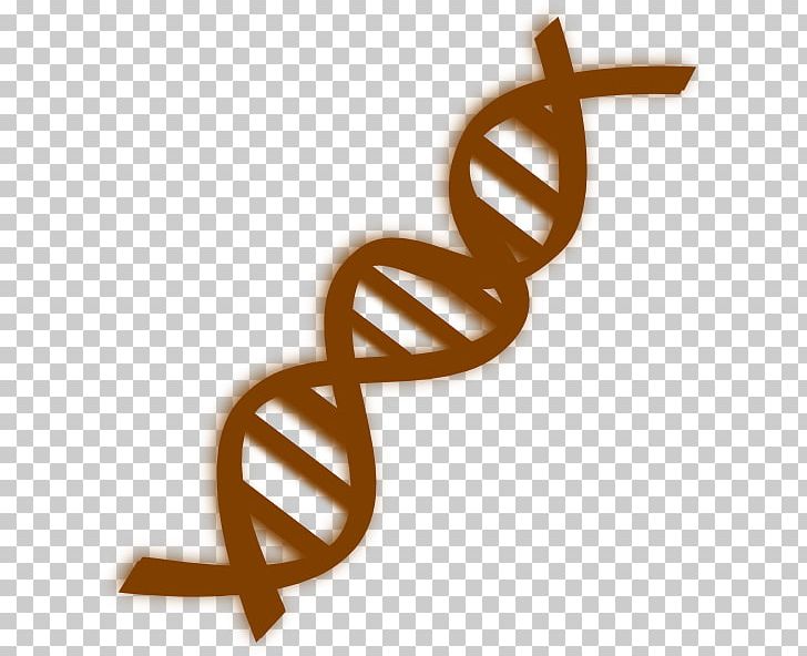 DNA PNG, Clipart, Art, Dna, Dna Replication, Genetics, Line Free PNG Download